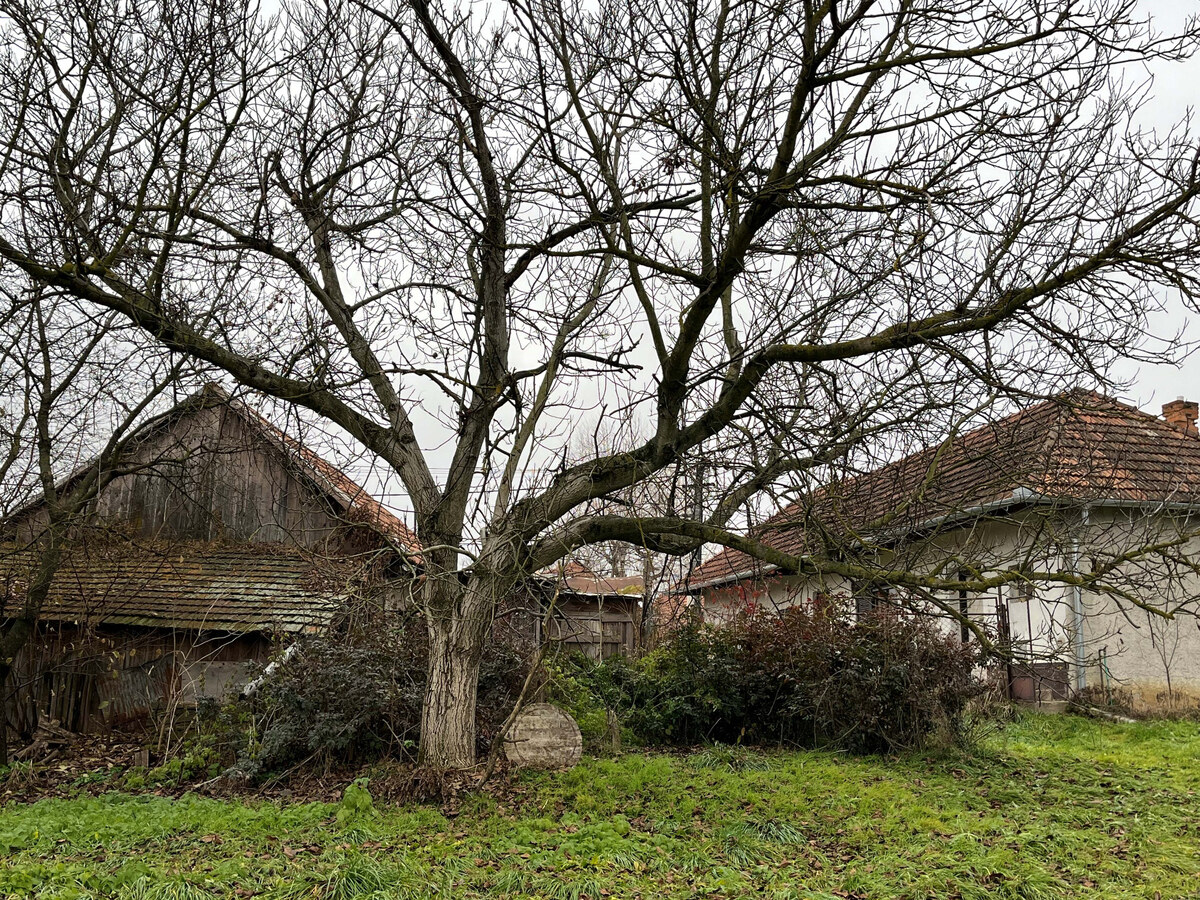 Predané - rodinný dom na predaj, Bátovce okres Levice — foto 15