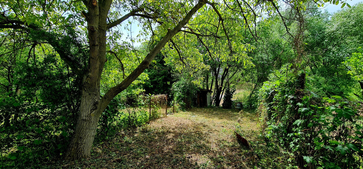 Predané – pozemok na predaj, Banská Štiavnica. — foto 10