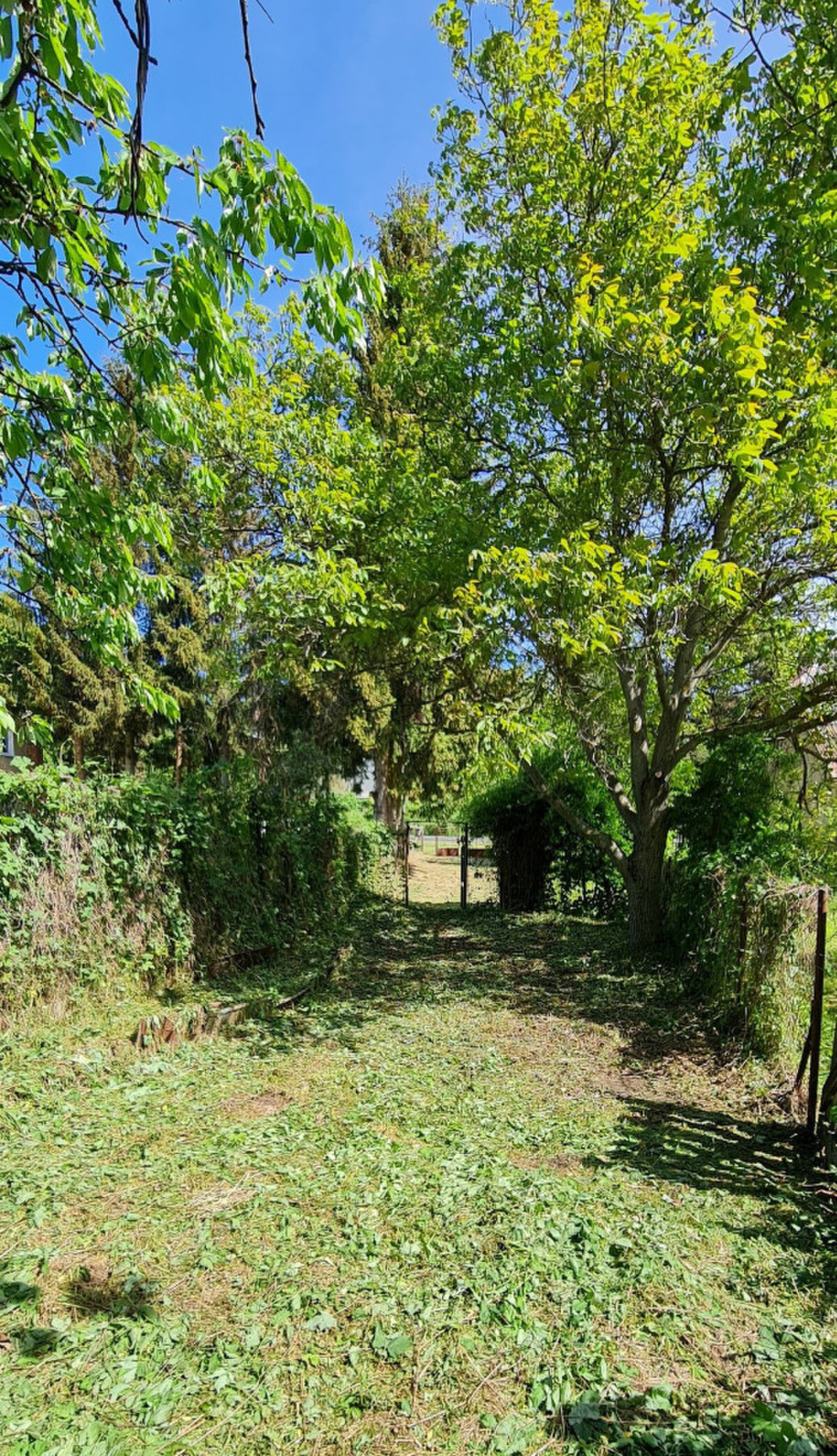 Predané – pozemok na predaj, Banská Štiavnica. — foto 8