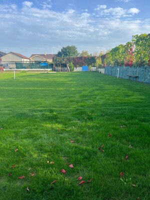 Pozemok v obci Kopčany — foto 1