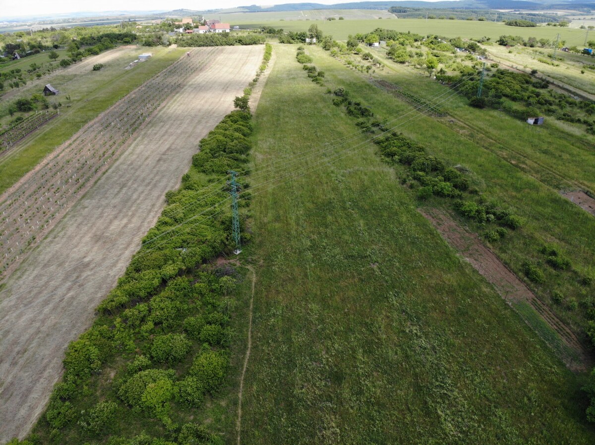 Na predaj pozemok v oblasti Kravie hory, v Skalici — foto 4