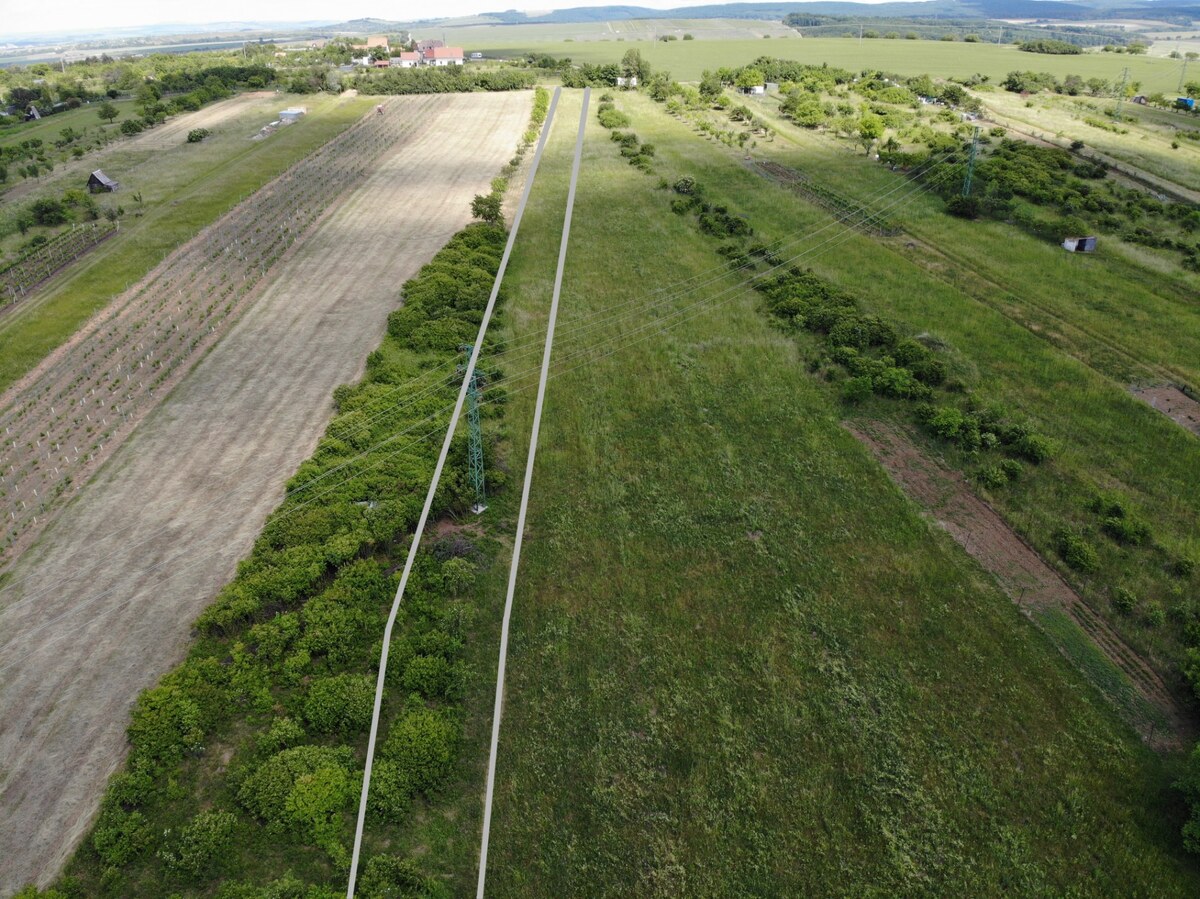 Na predaj pozemok vo vinohradníckej oblasti Kravie hory, v Skalici — foto 5