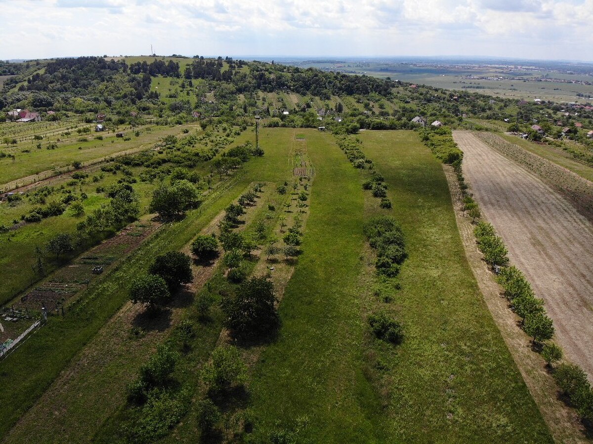 Na predaj pozemok vo vinohradníckej oblasti Kravie hory, v Skalici — foto 8
