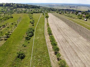 Na predaj pozemok vo vinohradníckej oblasti Kravie hory, v Skalici — foto 7