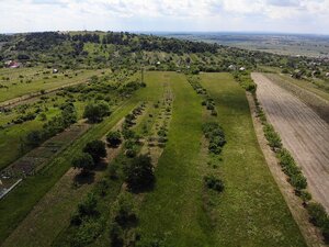 Na predaj pozemok vo vinohradníckej oblasti Kravie hory, v Skalici — foto 8