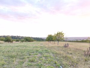 Na predaj pozemok vo vinohradníckej oblasti Kravie hory, v Skalici — foto 9