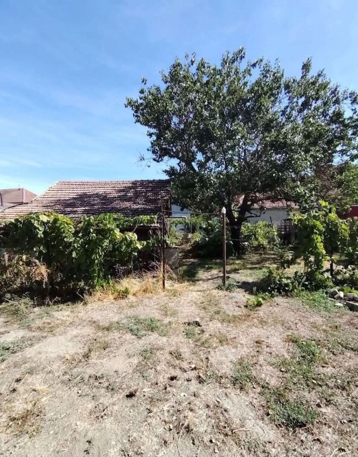 Predaj rodinného domu, Tvrdošovce, Nové Zámky — foto 2