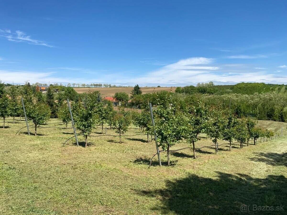 Predaj pozemku na bývanie, Jasová, Nové Zámky — foto 2