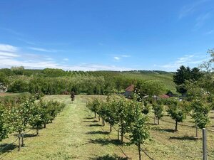 Predaj pozemku na bývanie, Jasová, Nové Zámky — foto 4