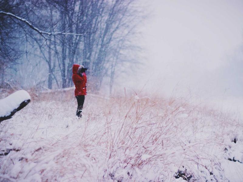 Pozemok 3205 m² pri parku, Zvolen