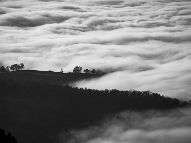 Pozemok 3205 m² pri parku, Zvolen — foto 5