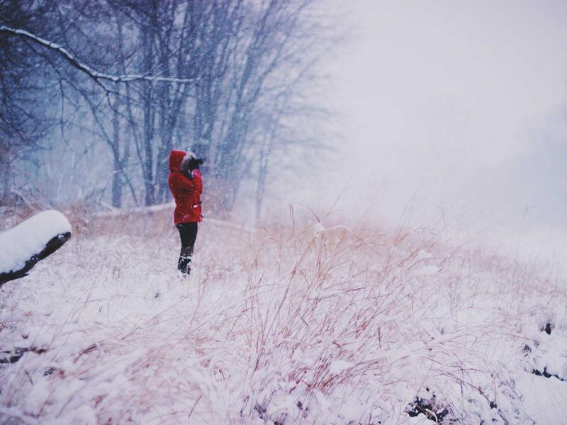 Pozemok 3205 m² pri parku, Zvolen — foto 1