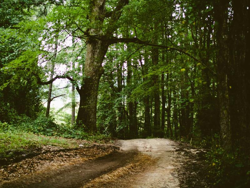 Pozemok 3205 m² pri parku, Zvolen — foto 2