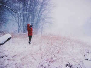 Pozemok 3205 m² pri parku, Zvolen — foto 1