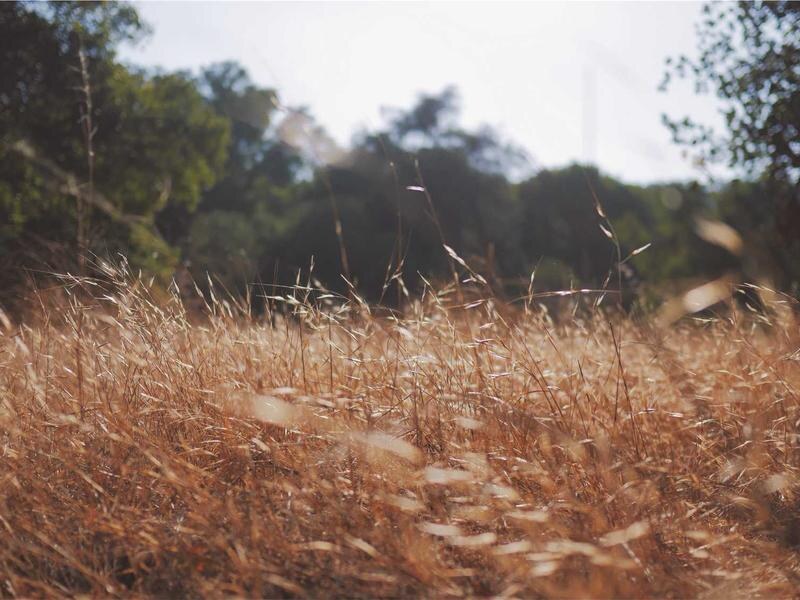 Vila pri parku, Prešov — foto 2