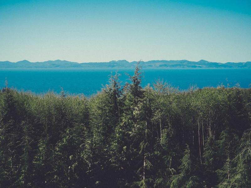 Vila pri parku, Prešov — foto 3