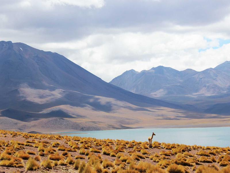 Pozemok 2355 m² po rekonštrukcii, Pezinok — foto 5