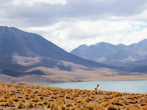 Pozemok 2355 m² po rekonštrukcii, Pezinok — foto 5