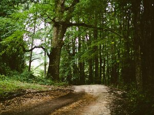 Obchodný priestor 294 m² v centre, Bratislava — foto 3