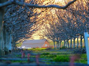 Kancelárske priestory 402 m² v novostavbe, Nové Zámky — foto 2