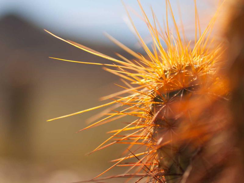 3-izbový byt blízko centra, Žilina — foto 2