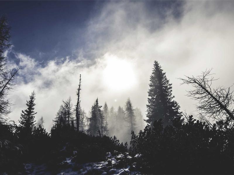 3-izbový byt s výhľadom, Nové Zámky — foto 4