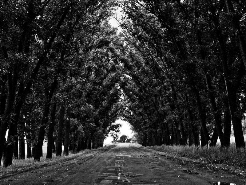 Pozemok 4443 m² v tichej lokalite, Zvolen — foto 3