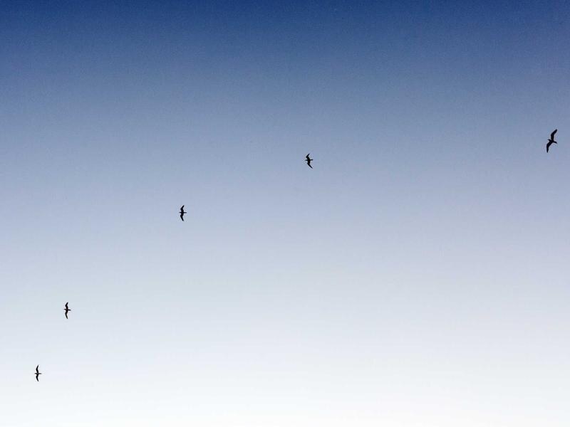 1-izbový byt po rekonštrukcii, Banská Bystrica — foto 4