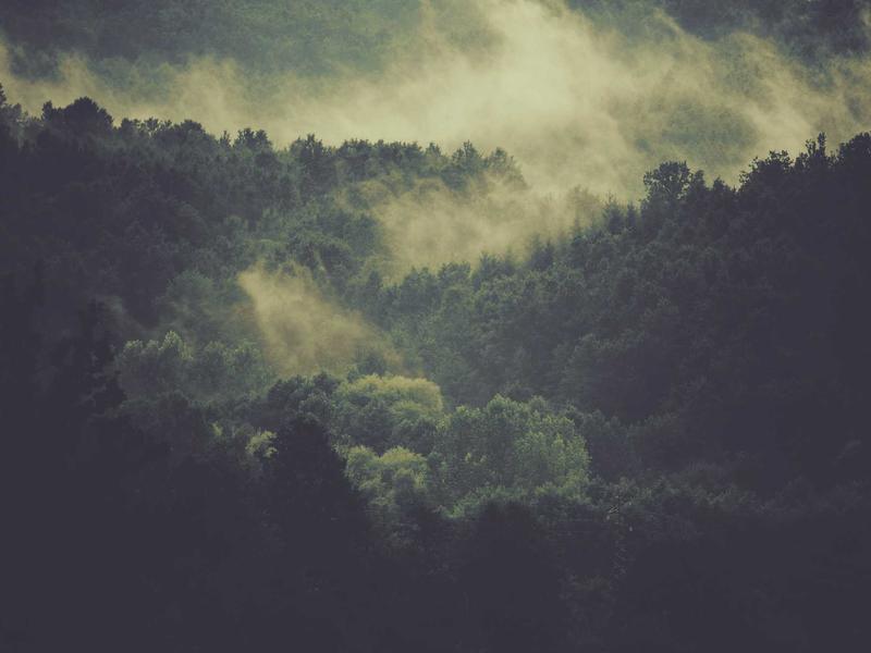 1-izbový byt pri parku, Ružomberok — foto 5