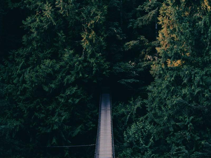 Obchodný priestor 384 m² v zástavbe, Bratislava — foto 2