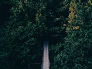 Obchodný priestor 384 m² v zástavbe, Bratislava — foto 2