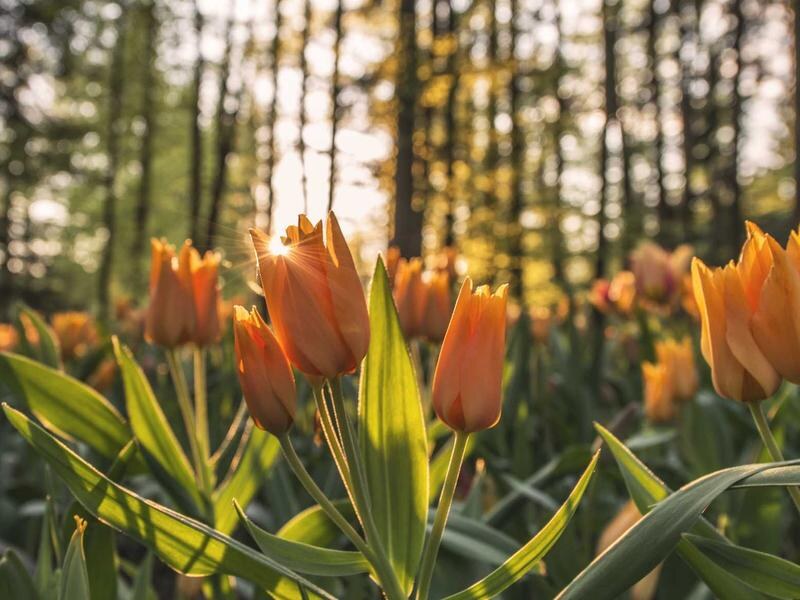 2-izbový byt na sídlisku, Zvolen — foto 4