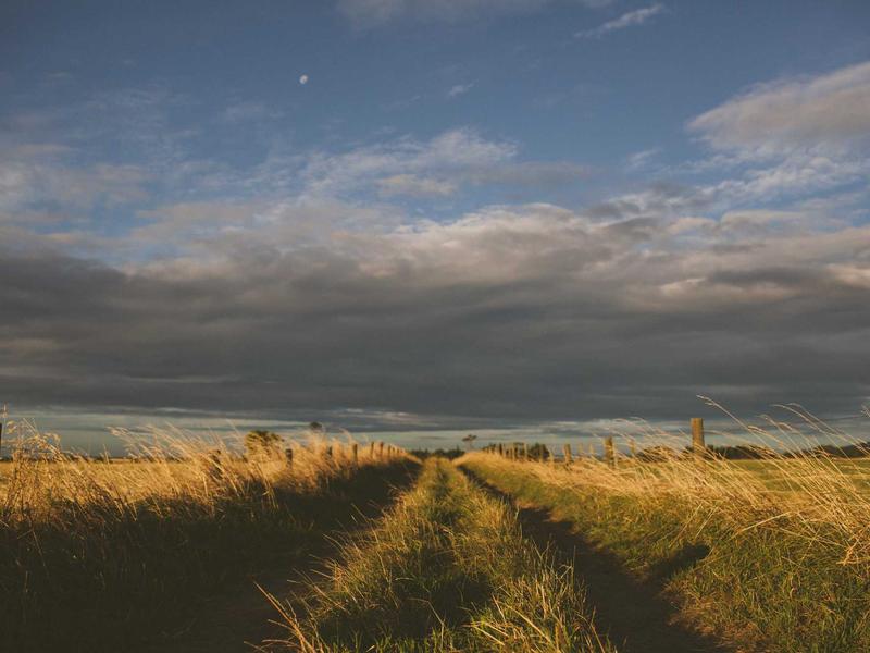 Rodinný dom blízko centra, Levice — foto 5