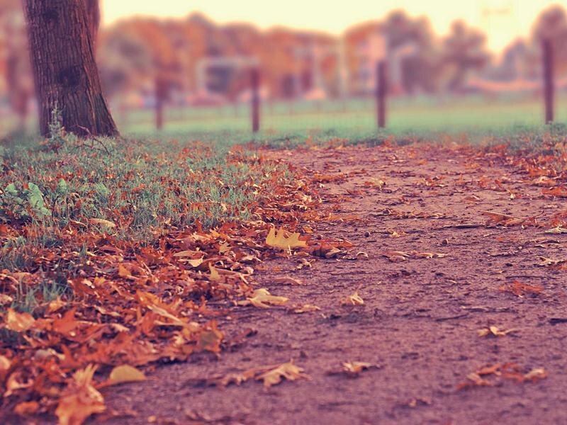 Rodinný dom v zástavbe, Poprad — foto 3