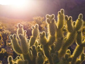 Vila na sídlisku, Michalovce — foto 2