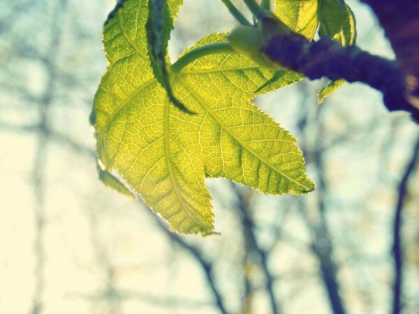 Garáž v zástavbe, Prešov