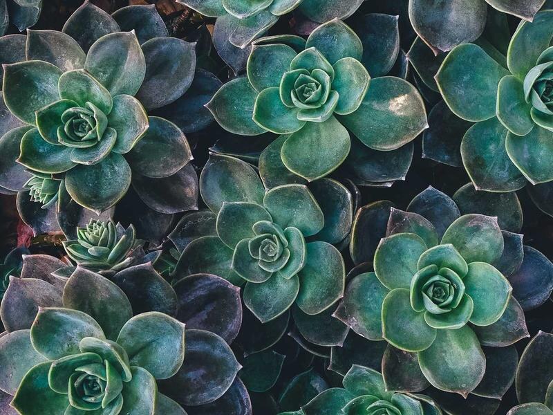 Chalupa v centre, Banská Bystrica — foto 3