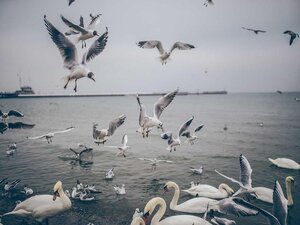 Pozemok 2774 m² na sídlisku, Michalovce — foto 1