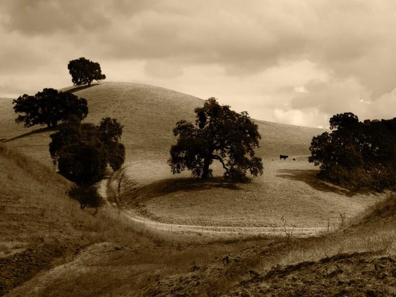 Pozemok 355 m² v centre, Pezinok — foto 1