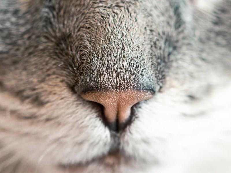 2-izbový byt s výhľadom, Žilina — foto 3