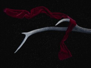 Rodinný dom v centre, Michalovce — foto 4