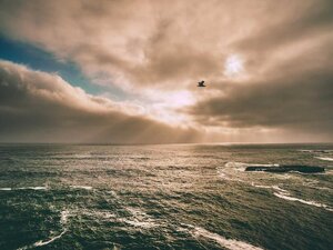 Kancelárske priestory 49 m² blízko centra, Levice — foto 2