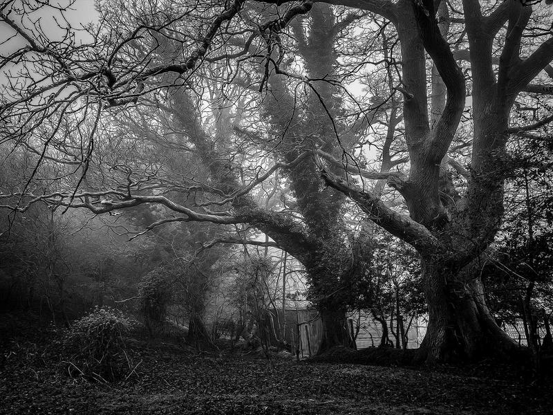 2-izbový byt blízko centra, Komárno — foto 4