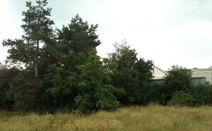 Pripravené pozemky v Šenkviciach — foto 1