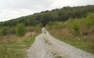 Záhrada v Dúbravke Pri kríži na predaj — foto 4