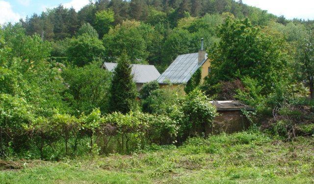 Predaj pozemku v peknom prostredí – Sokoľ — foto 2