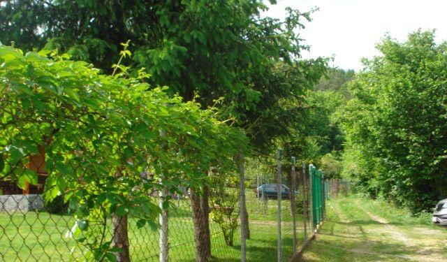 Predaj pozemku v peknom prostredí – Sokoľ — foto 4