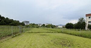 Predáme RD, pozemok 1959 m2, Radoľa okr. Kysucké N. Mesto — foto 4
