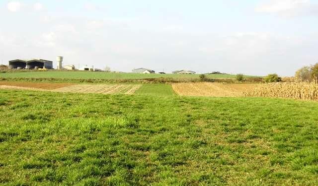 Pozemok na predaj, 4.801 m2, Lužianky, okr. Nitra — foto 2