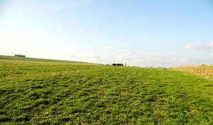 Pozemok na predaj, 4.801 m2, Lužianky, okr. Nitra — foto 1